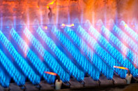 Llangedwyn gas fired boilers